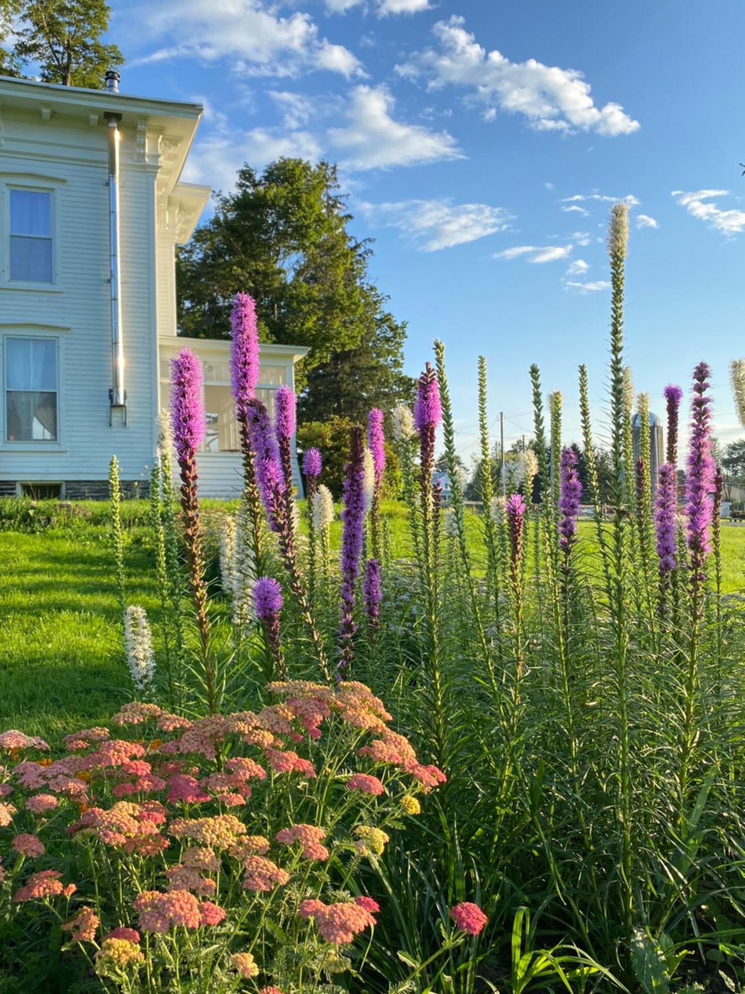 Bloom Farm Guesthouse Mount Vision Exteriér fotografie